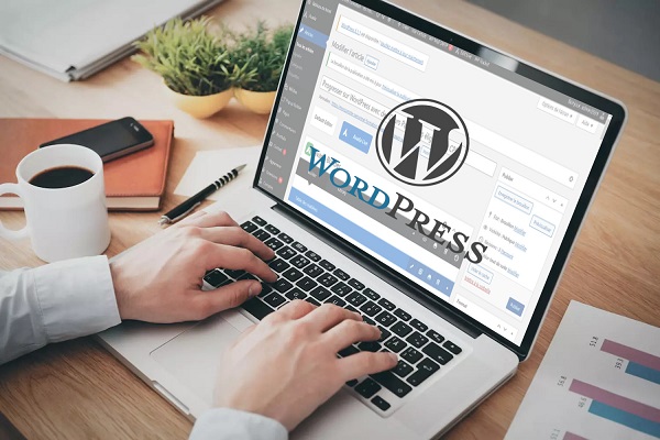 Formation WordPress CPF